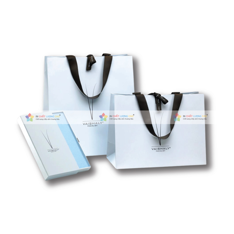 In Túi Giấy Giá Rẻ – Giải Pháp Đóng Gói 2025